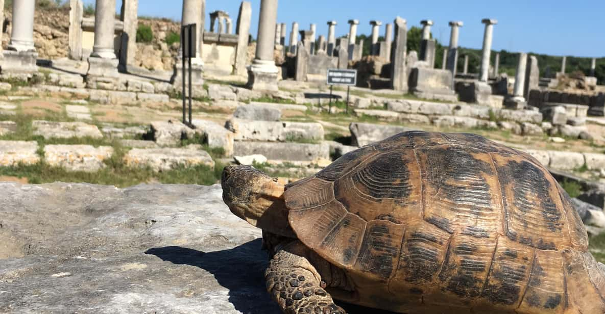 Call Of Ancient History In Perge - Key Points