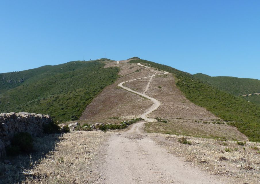 Calvi: Asco Valley 4x4 Day Tour With Guide - Key Points