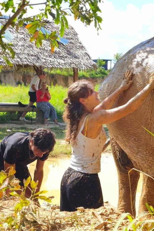 Cambodia Elephant Sanctuary, Pickup and Drop off Included - Good To Know