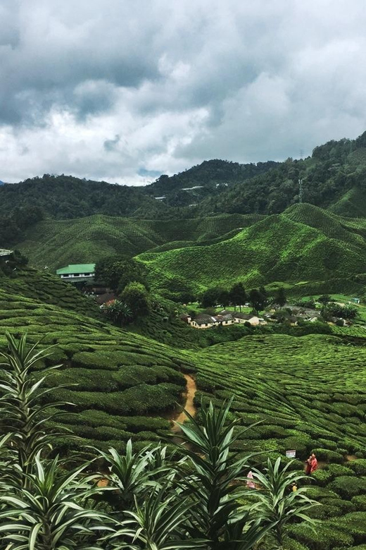 CAMERON HIGHLAND : GREAT NATURE IN A HIGHLAND - Historical Significance