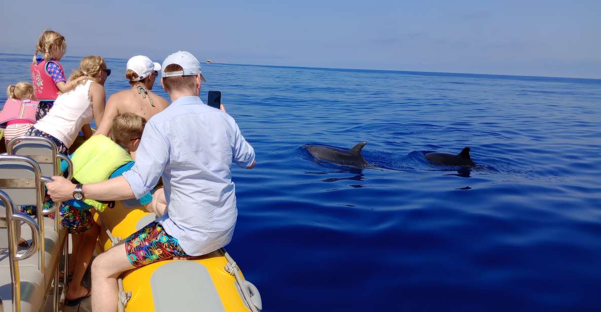 Can Picafort: Dolphin Watching Boat Tour With Swimming - Key Points