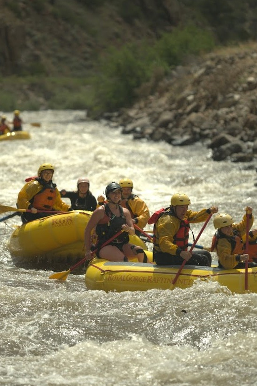 Cañon City: Bighorn Sheep Canyon Guided Rafting Adventure - Key Points