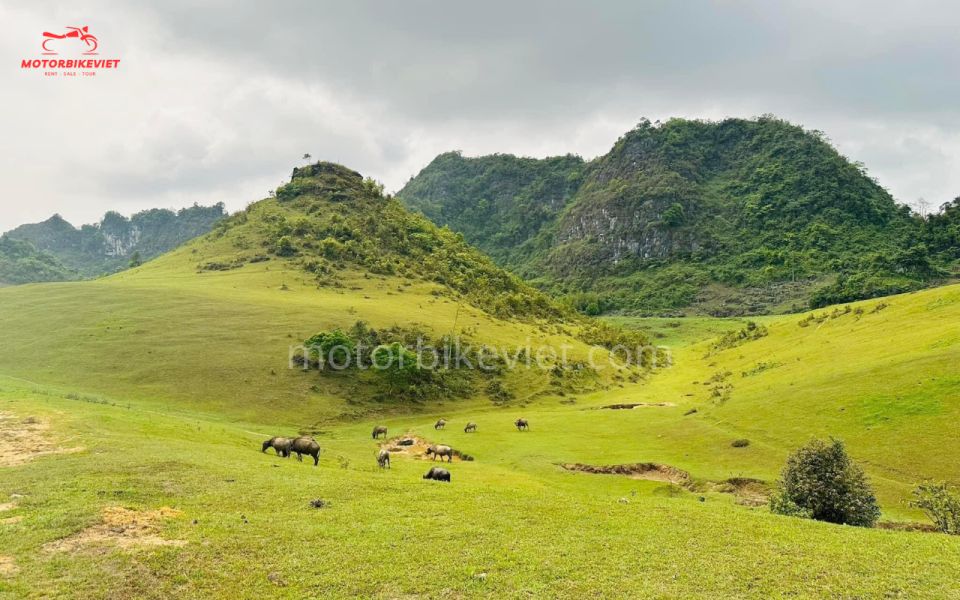 Cao Bang Loop With Adventure Motorbike Viet Tour 2 Days - Key Points