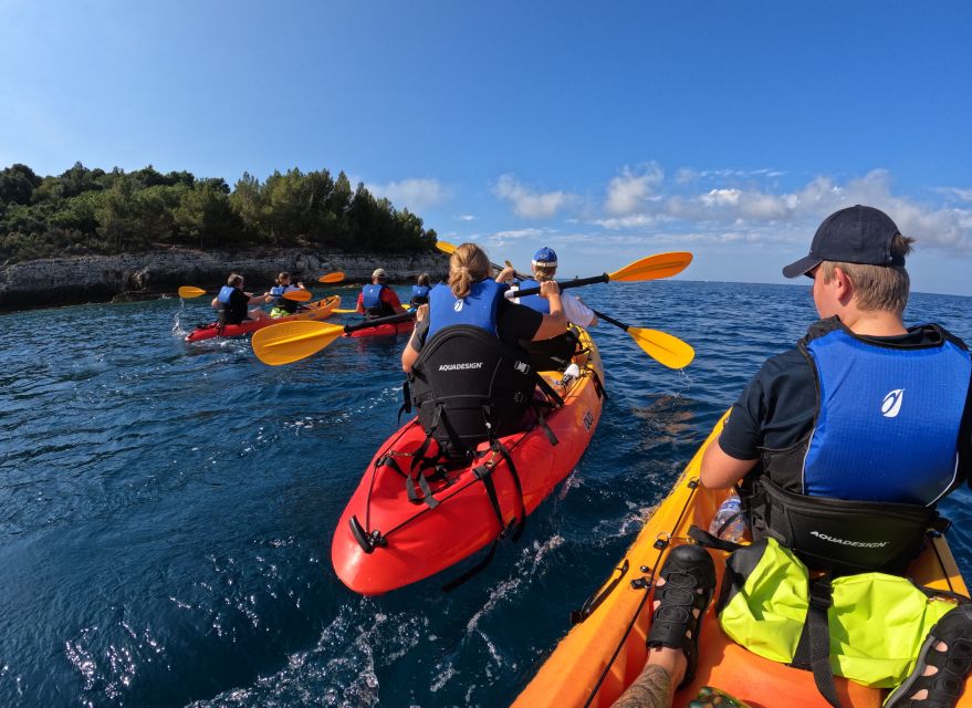 Cape Kamenjak: Guided Kayak Tours Snorkeling, Cave & Cliff - Good To Know