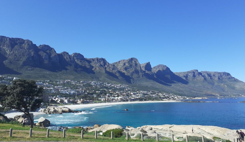 Cape of Good Hope: Sightseeing and African Penguins Tour - Good To Know