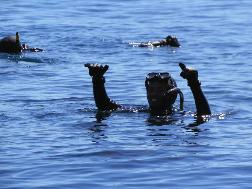 Cape Town: Duiker Islands Seal Snorkeling Boat Trip - Exploring Duiker Islands Seal Colony