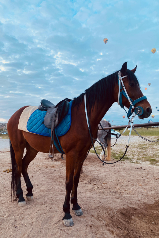 Cappadocia: Fascinating Horse Tour in Göreme Valleys - Key Points