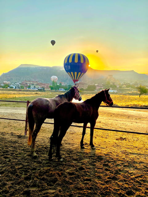 Cappadocias Sunrise Horseback Riding - Key Points