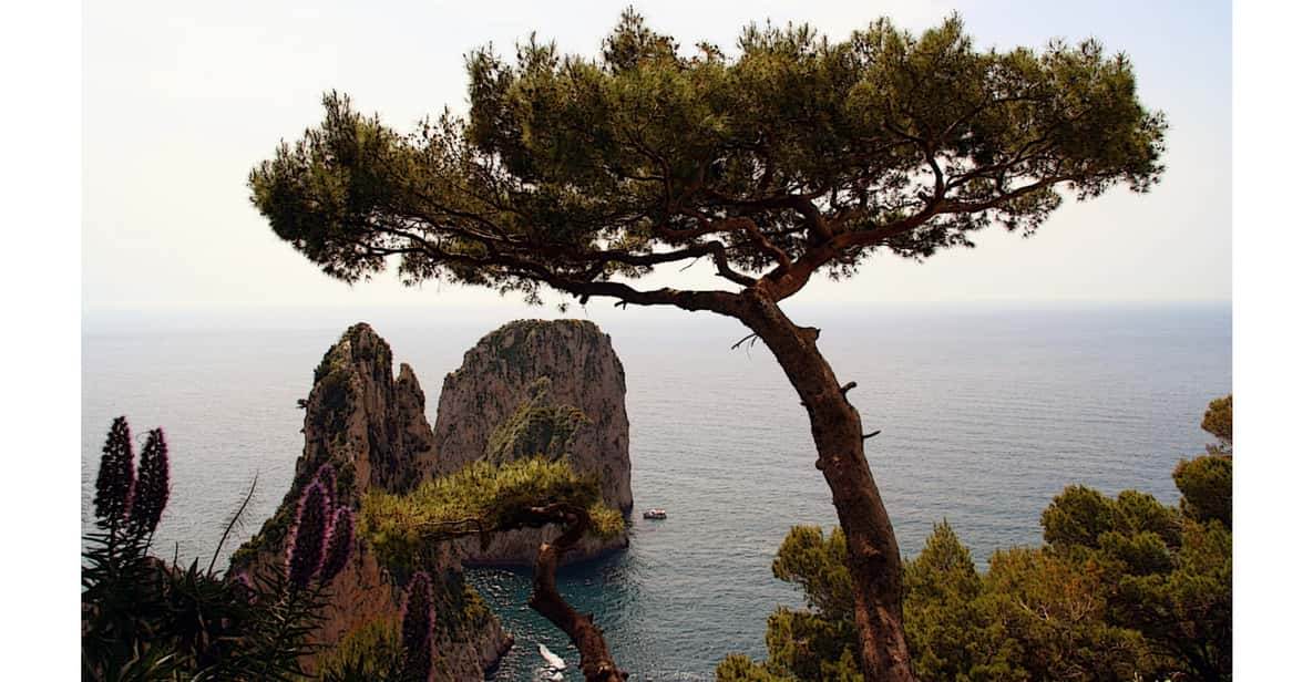 CAPRI: DAILY TRIP WITH FREE TIME IN THE ISLAND - Key Points