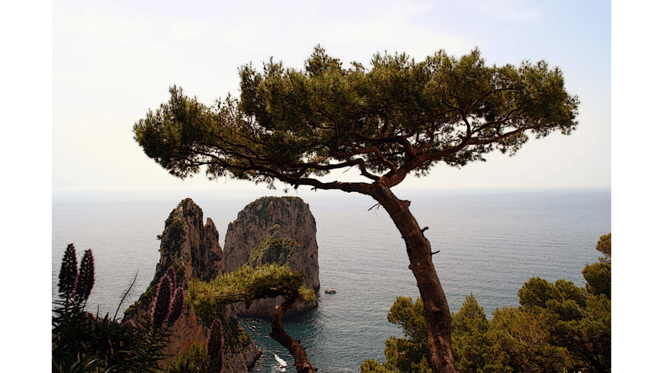 CAPRI: DAILY TRIP WITH FREE TIME IN THE ISLAND - Booking Your Capri Trip