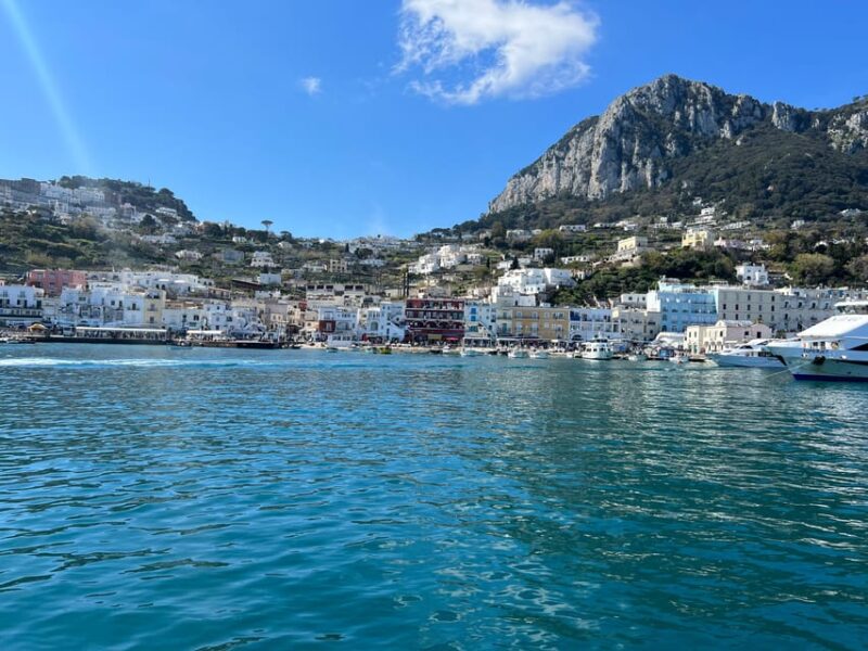Capri: Island Discovery Guided Hop-On Hop-Off Bus Tour - Key Points