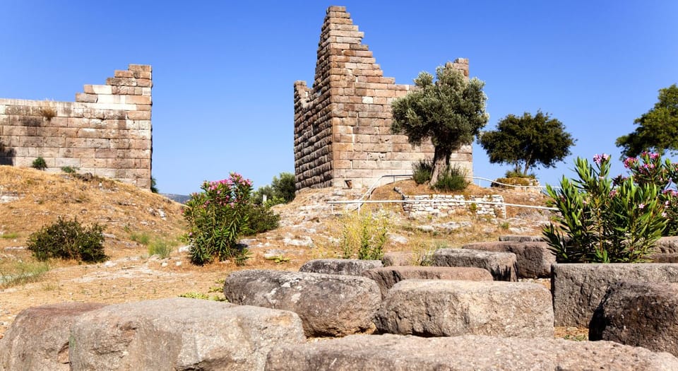 Captivating Bodrum City Tour: History & Culture Unveiled - Overview of the Tour