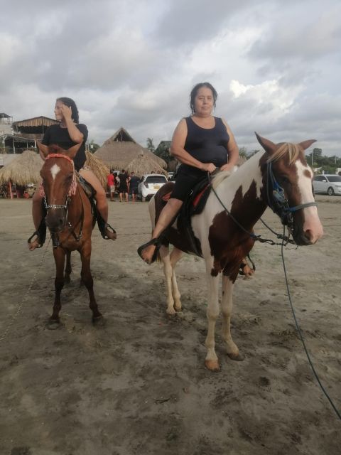 Cartagena, Colombia: Horseback Riding on the Beach + Lunch - Key Points