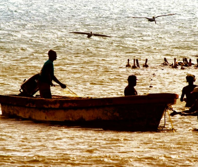 Cartagena: Horseback Riding on the Beach at Sunset - Key Points