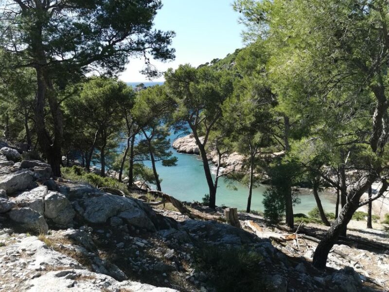 Cassis: Calanques National Park Guided Hiking Half-Day Trip - Key Points