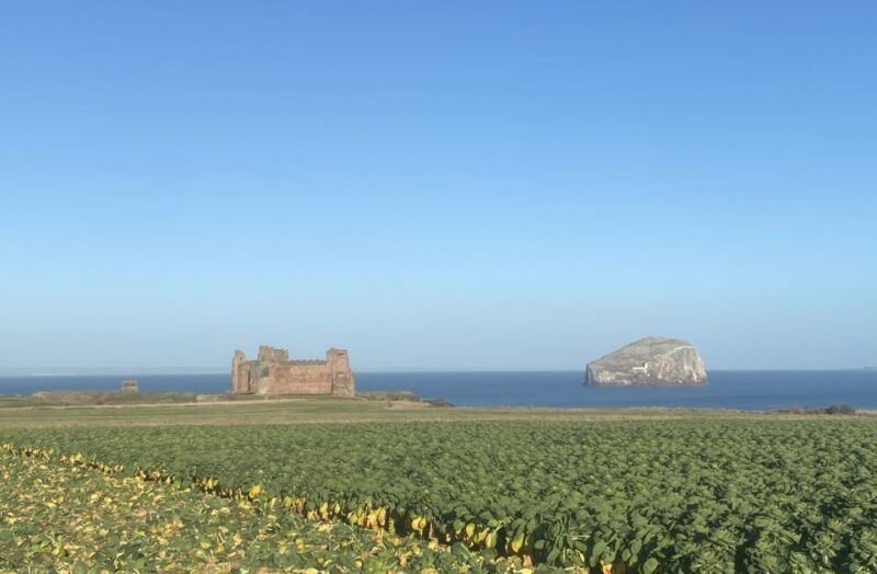 Castle and Coastline Electric Bike Tour North Berwick - Key Points