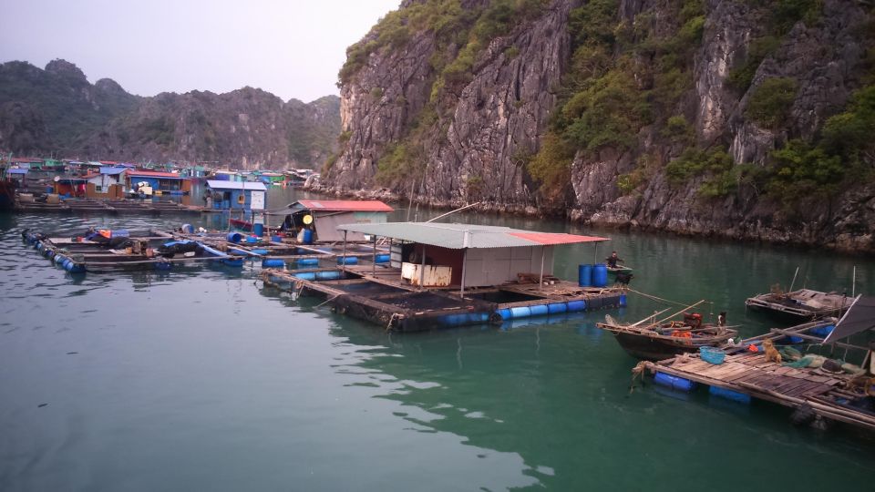 Cat Ba Island: Full-Day Cruise to Lan Ha Bay and Ha Long Bay - Key Points