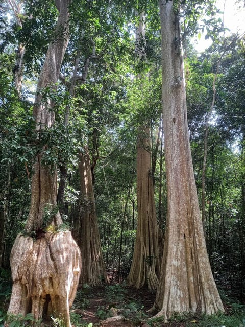 Cat Tien National Park With Crocodile Lake - Inclusions and Exclusions