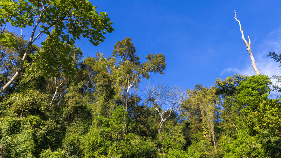 Cat Tien National Park With Crocodile Lake - Key Points