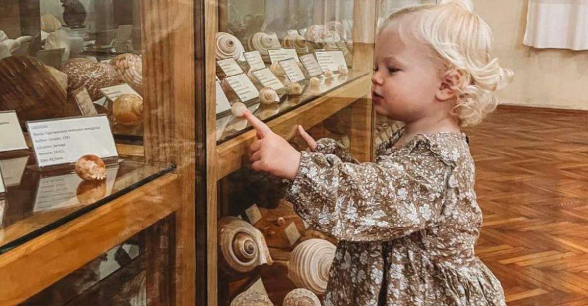 Cavtat: Experience Wonder of the Ocean at the Shell Museum - Good To Know