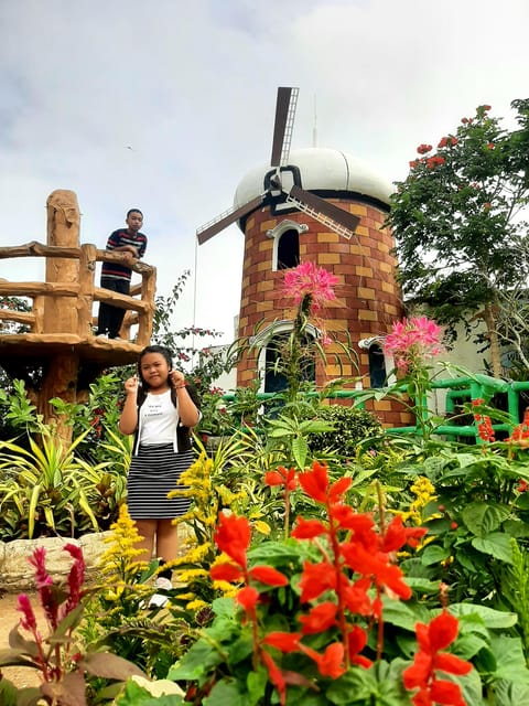 Cebu: Cultural Gems Guided Tour With 10,000 Roses - Key Points