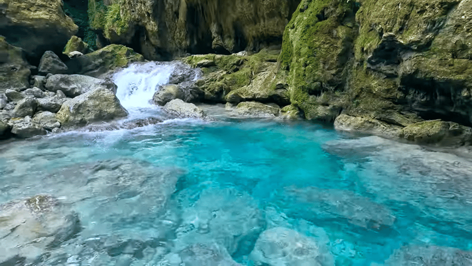 Cebu: Kawasan Canyoneering Expedition: Dive Into Adventure - Overview and Pricing