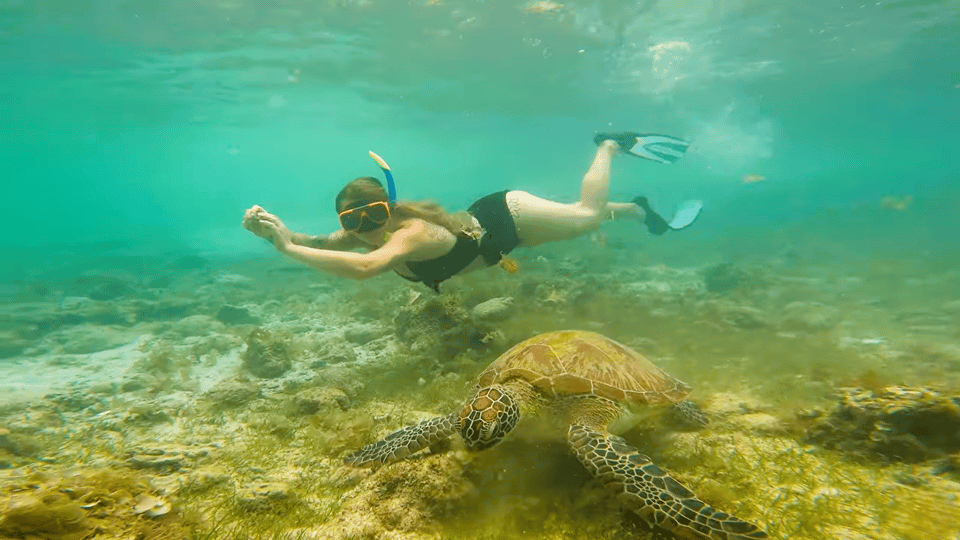 Cebu: Moalboal Snorkeling & Kawasan Canyoneering Adventure - Overview of the Adventure