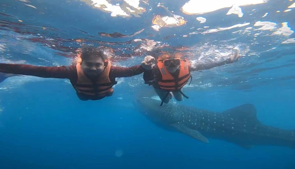 CEBU: Whaleshark Watching + Sumilon Sand Bar + Tumalog Falls - Key Points