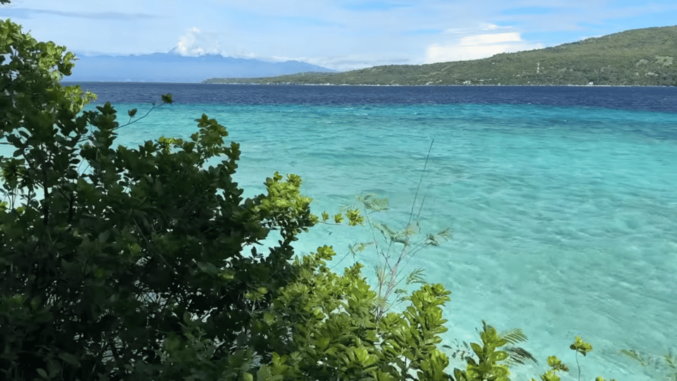 Cebu:Oslob Whales,Sumilon Island & Inambakan Falls Adventure - Key Points