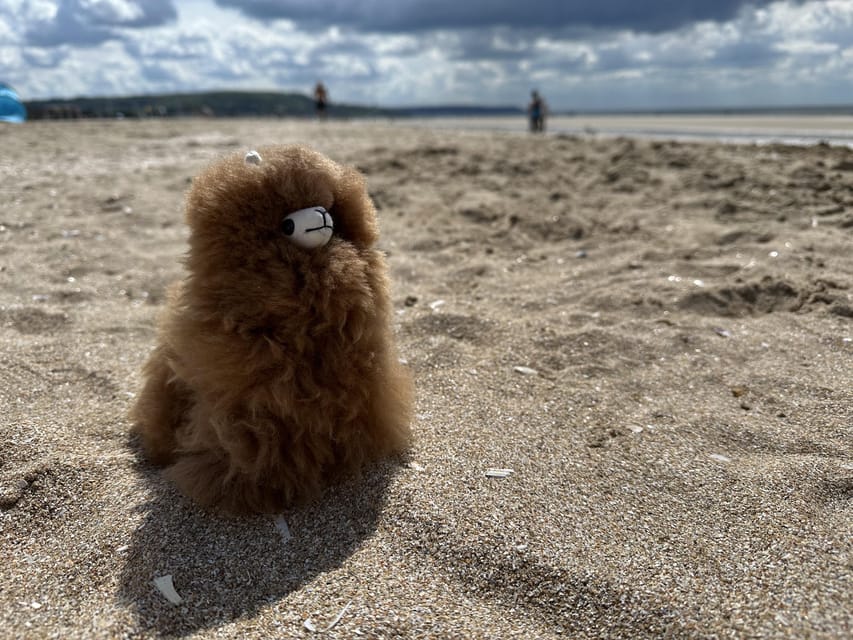 Chanel Deauville Day Tour From Paris With Oyster Tasting - Tour Overview