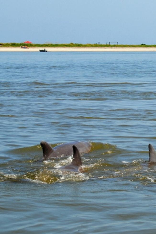 Charleston: Morris Island Lighthouse Eco-Boat Tour - Key Points