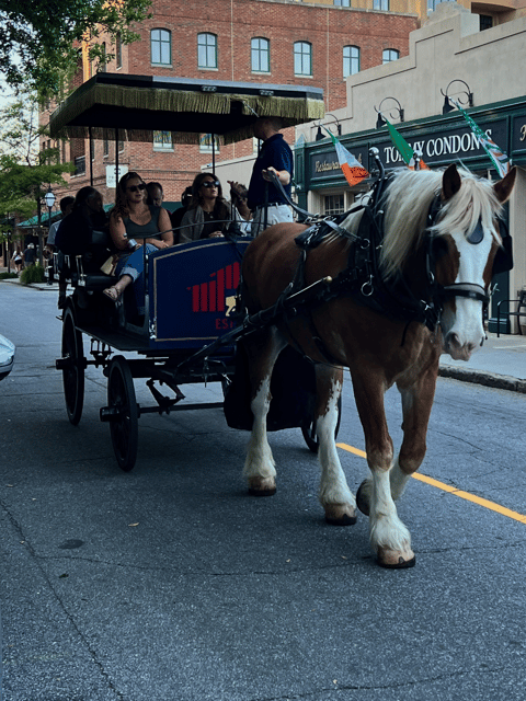 Charleston: Private Haunted History Carriage Ride - Key Points