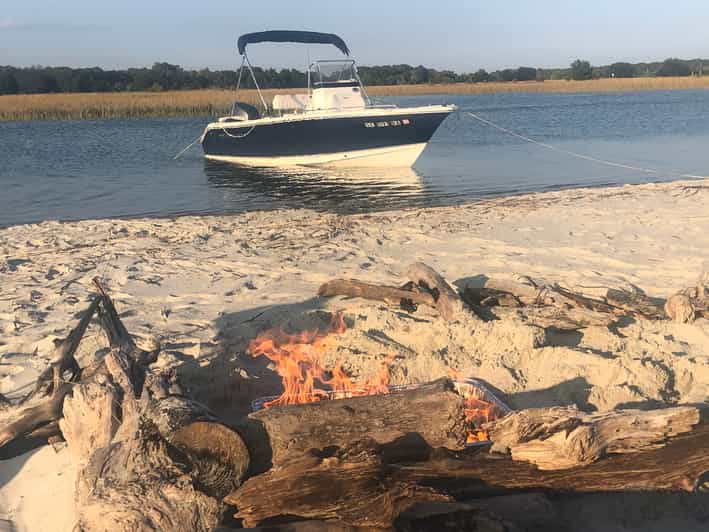 Charleston: Private Sightseeing & Dolphin Watching Boat Tour - Key Points