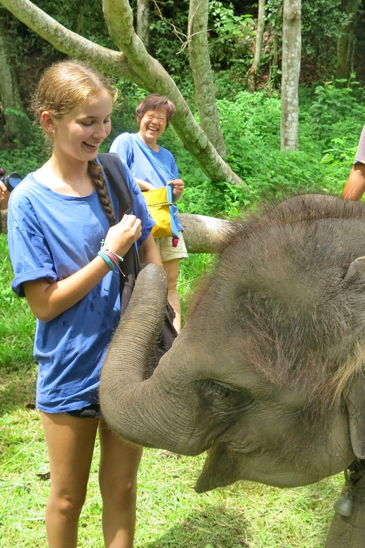 Chiang Mai : ATV Tour + Elephant Care - Activity Overview