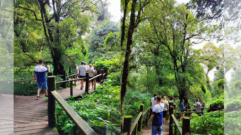 Chiang Mai: Doi Inthanon National Park Sightseeing - Key Points