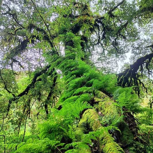 Chiang Mai: Doi Inthanon National Park, Waterfall Day Tour - Key Points