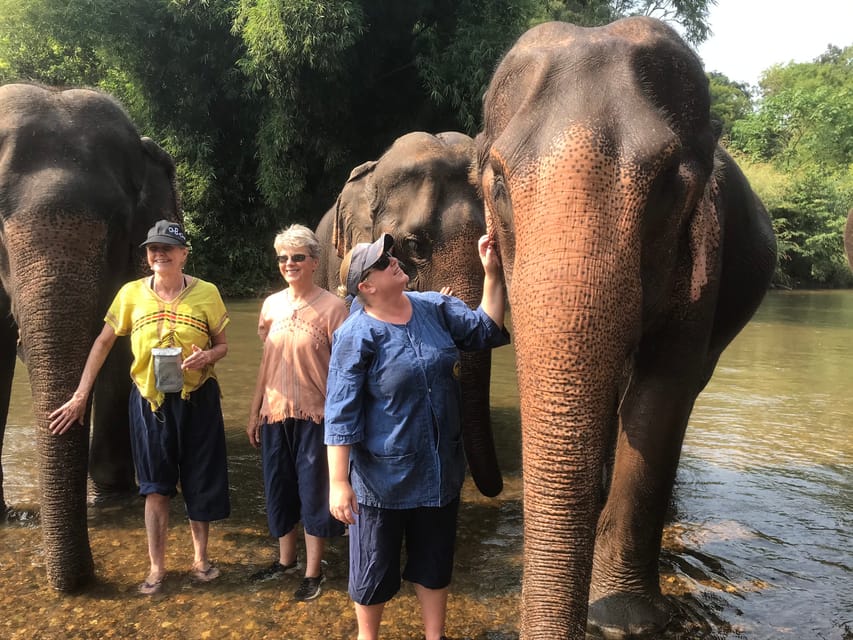 Chiang Mai: Doi Suthep Temple & Elephant Sanctuary Day Trip - Key Points