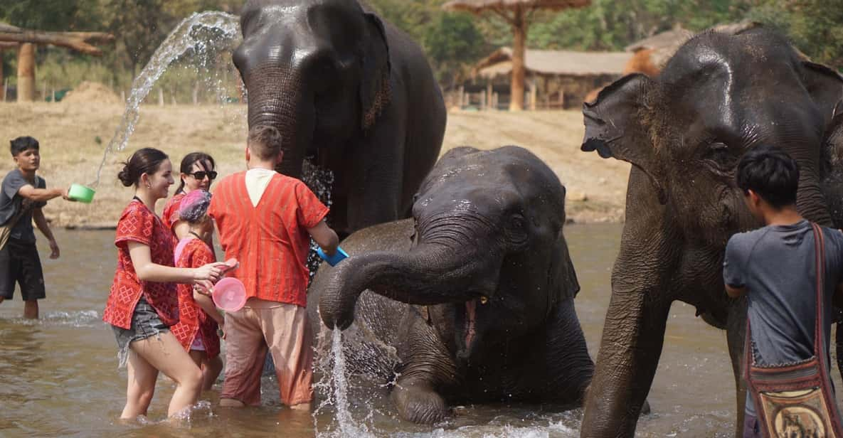 Chiang Mai: Elephant Care & Long Neck &Sticky Waterfall Tour - Key Points