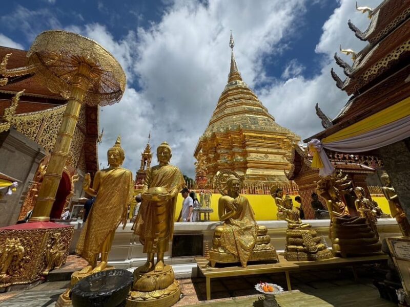Chiang Mai: Elephant Sanctuary, Monk Trail & Doi Suthep Tour - Key Points