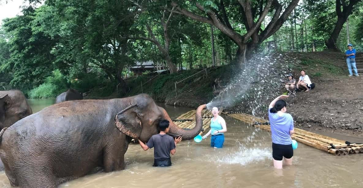 Chiang Mai: Elephant Tour, Ziplining, Rafting, Waterfall - Key Points