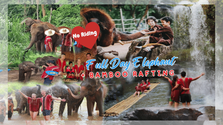 Chiang Mai: Full Day Elephant Eco Park Tour + Bamboo Rafting