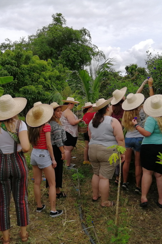 Chiang Mai : Thai Cooking in Farm With a Local Train Trip - Key Points