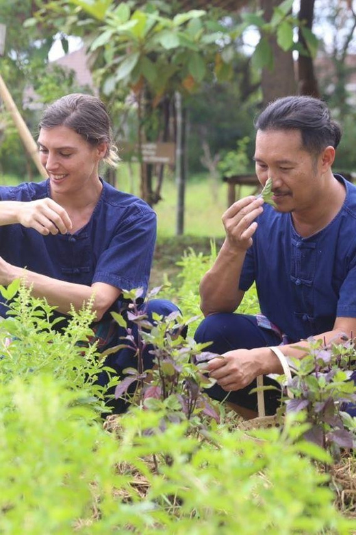 Chiang Mai: Traditional Northern Farm Cooking Class - Key Points