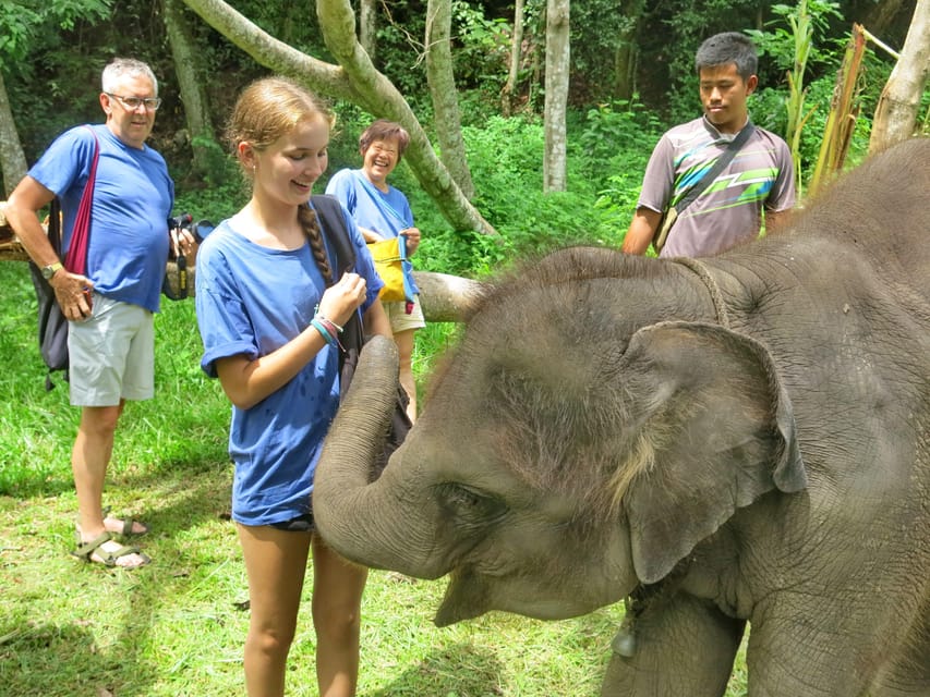 Chiang Mai : Trekking + Elephant Care - Key Points