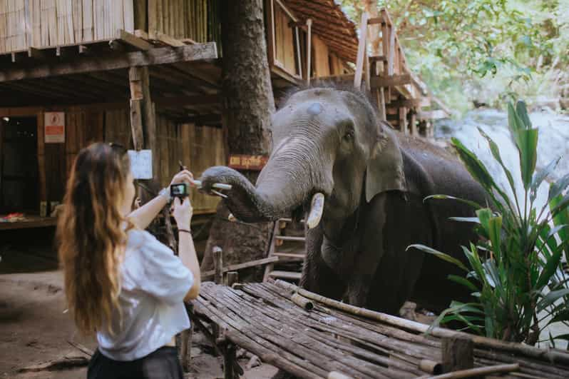 Chiang Mai: Two-day Temple of Elephants Sanctuary Tour - Tour Overview and Pricing