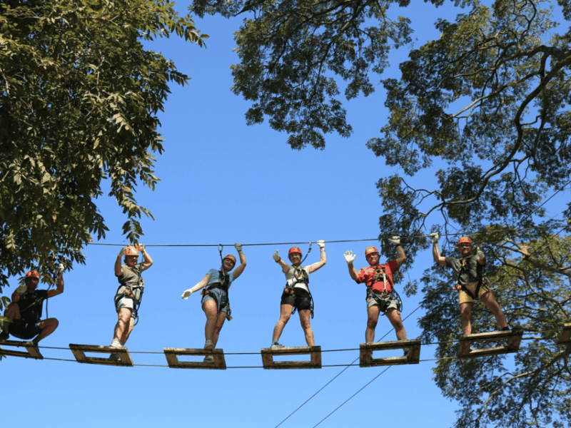 Chiang Mai: Zipline Adventure With Lunch & City Hotel Pickup - Key Points