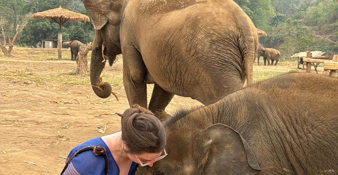 Chiangmai : Elephants, Ele Poo Paper & Sticky Waterfalls - Key Points