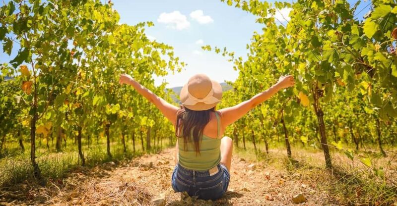 Chianti Wine Region From Florence With Wine Tastings - Key Points