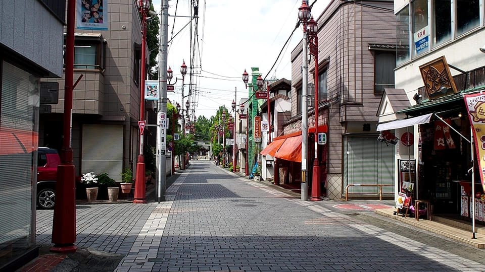 Chichibu Mitsumine Shrine and Nagatoro 1 Day Private Tour - Key Points