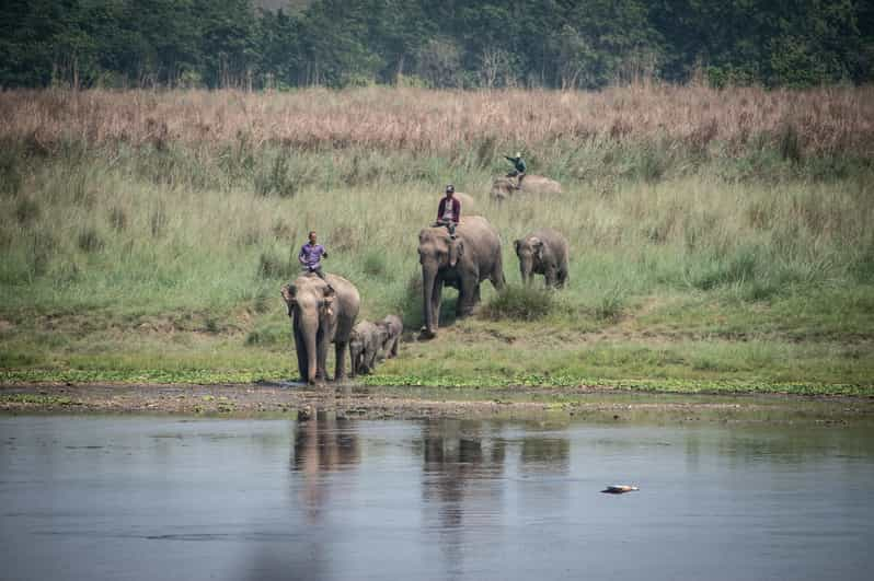 Chitwan Jungle Safari 2 Nights 3 Days - Key Points